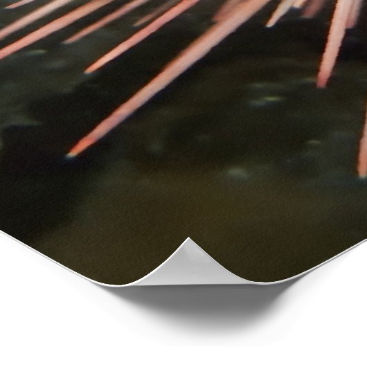 Giant Red Zee Urchin - Fine Art Print (Hoek)