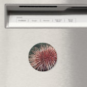 Giant Red Zee Urchin - Magnet (Insitu (Vaatwasser))