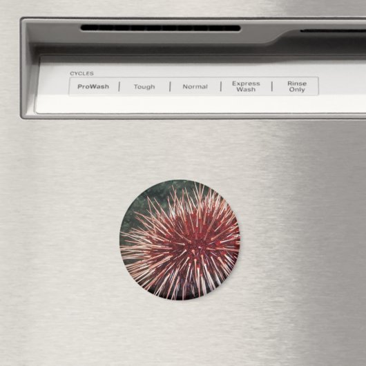 Giant Red Zee Urchin - Magnet (Insitu (Vaatwasser))