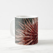 Giant Red Zee Urchin - Mok (Voorkant links)