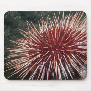 Giant Red Zee Urchin - Mousepad Muismat