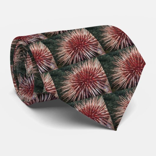 Giant Red Zee Urchin - Stropdas (Opgerold)