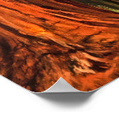 Giant Redwood Forest Trees Yosemite Valley Cali Poster (Hoek)