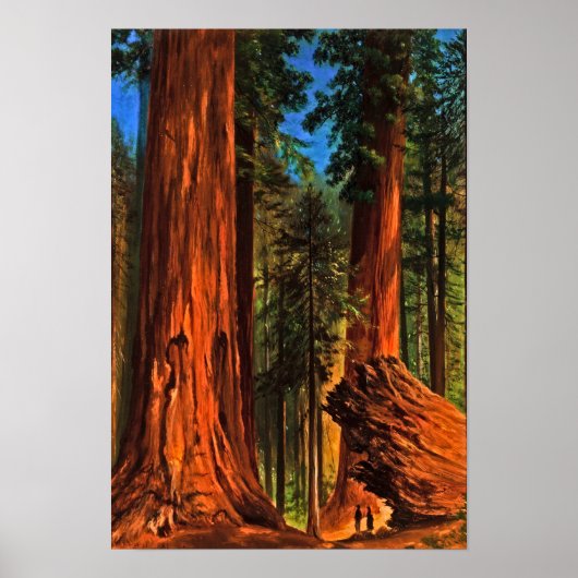 Giant Redwood Forest Trees Yosemite Valley Cali Poster (Voorkant)
