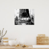 GIANT REDWOOD op ZONDAG c. 1890 Poster (Keuken)