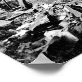 GIANT REDWOOD op ZONDAG c. 1890 Poster (Hoek)