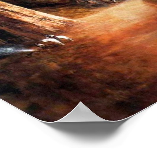 Giant Redwood Poster (Hoek)