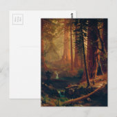 Giant Redwood Trees of California by A. Bierstadt Briefkaart (Voorkant / Achterkant)