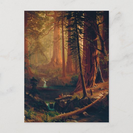 Giant Redwood Trees of California by A. Bierstadt Briefkaart (Voorkant)