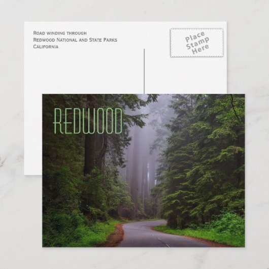 Giant Redwood Trees, Redwood National/State Parks Briefkaart (Voorkant / Achterkant)