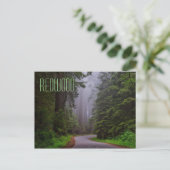 Giant Redwood Trees, Redwood National/State Parks Briefkaart (Staand voorkant)