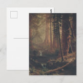 Giant Redwood Trees uit Californië Briefkaart (Voorkant / Achterkant)