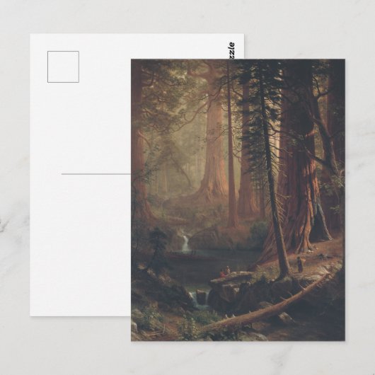 Giant Redwood Trees uit Californië Briefkaart (Voorkant / Achterkant)