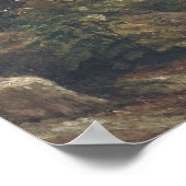 Giant Redwood Trees uit Californië Poster (Hoek)