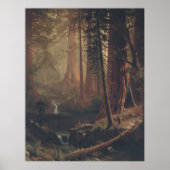 Giant Redwood Trees uit Californië Poster (Voorkant)