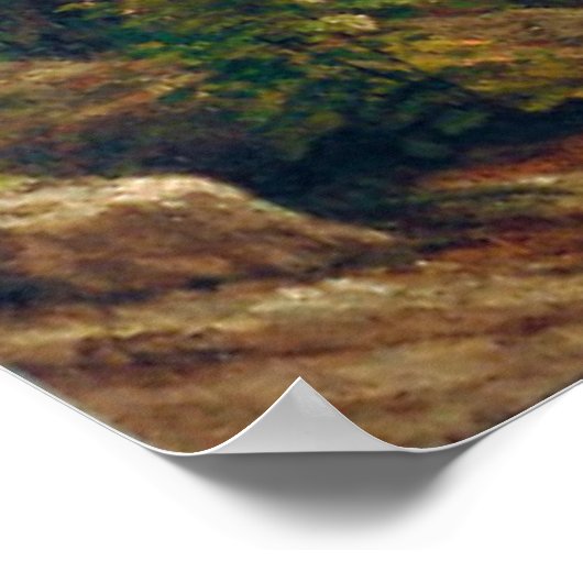 Giant Redwood Trees van Californië door A. Biersta Poster (Hoek)