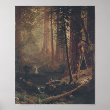 Giant Redwood van Albert Bierstadt