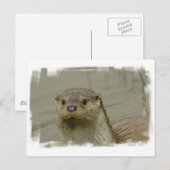 Giant River Otter Briefkaart (Voorkant / Achterkant)
