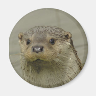 Giant River Otter Magnet