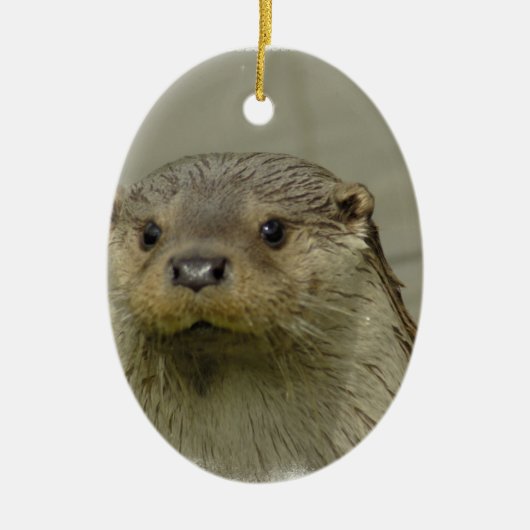 Giant River Otter Ornament (Voorkant)