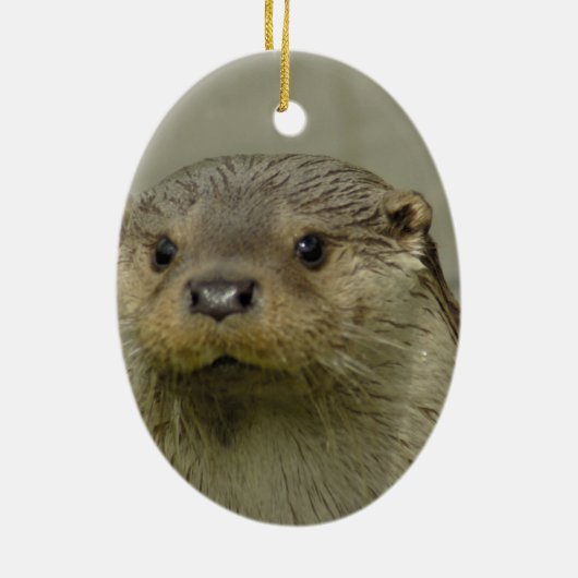 Giant River Otter Ornament (Achterkant)