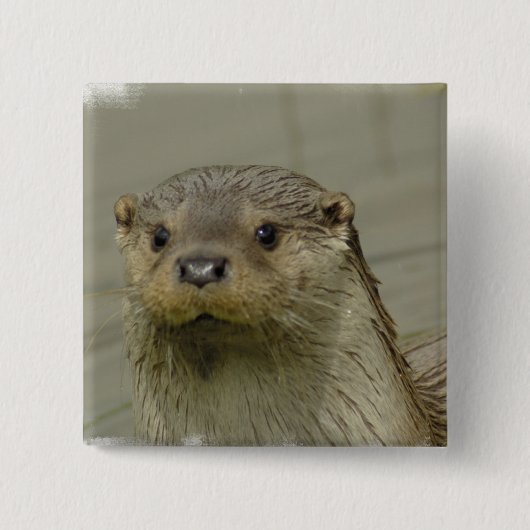 Giant River Otter Pin Vierkante Button 5,1 Cm (Voorkant)