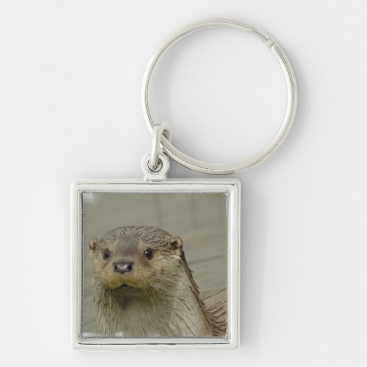 Giant River Otter Sleutelhanger (Voorkant)