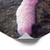 Giant roze ster (paasbroodrooster) poster (Hoek)