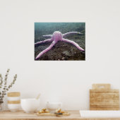 Giant roze ster (paasbroodrooster) poster (Keuken)