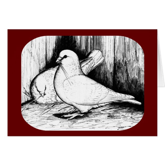 Giant Runt Pigeons (Voorkant Horizontaal)