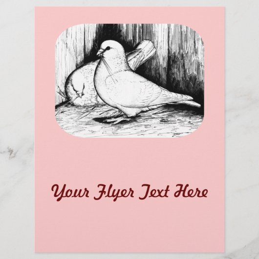 Giant Runt Pigeons Flyer (Voorkant)