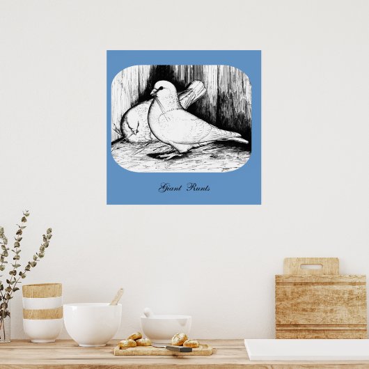 Giant Runt Pigeons Poster (Keuken)