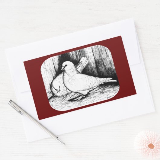 Giant Runt Pigeons Rechthoekige Sticker (Envelop)