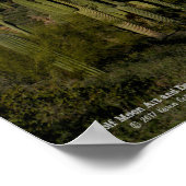 Giant Saguaro Cactus Forest Sonoran Desert Arizona Poster (Hoek)