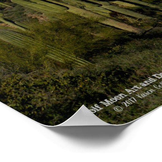 Giant Saguaro Cactus Forest Sonoran Desert Arizona Poster (Hoek)