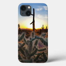 Giant Saguaro Cactus op Sunset in Sonoran Desert