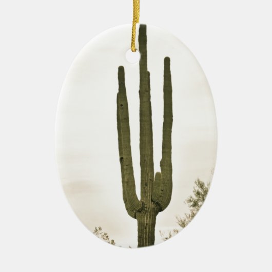 Giant Saguaro Sonoran Desert Portret Keramisch Ornament (Voorkant)