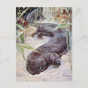 Giant Salamander Art Briefkaart