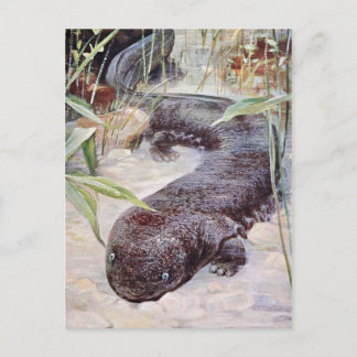 Giant Salamander Art Briefkaart