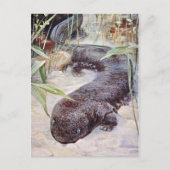 Giant Salamander Art Briefkaart (Voorkant)