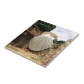 Giant scallop shell, El Camino Tegeltje (Zijkant)