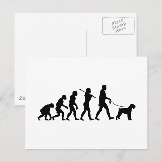 Giant Schnauzer Briefkaart (Voorkant / Achterkant)