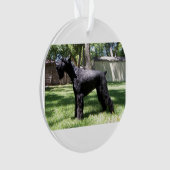 Giant Schnauzer full.png Ornament (voorkant)