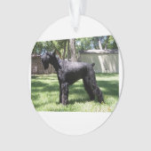 Giant Schnauzer full.png Ornament (voorkant)