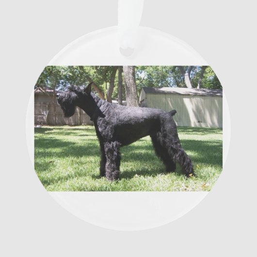 Giant Schnauzer full.png Ornament (voorkant)