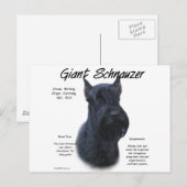 Giant Schnauzer History Design Briefkaart (Voorkant / Achterkant)