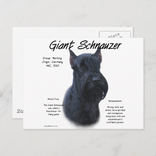 Giant Schnauzer History Design Briefkaart (Voorkant / Achterkant)