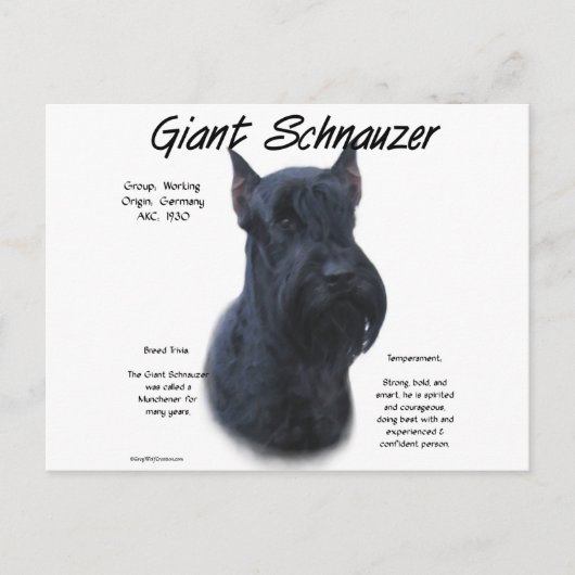 Giant Schnauzer History Design Briefkaart (Voorkant)