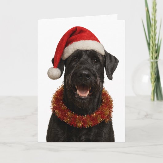 Giant Schnauzer in a Santa hat Christmas card Kaart (Voorkant)