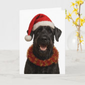 Giant Schnauzer in a Santa hat Christmas card Kaart (Gele Bloem)